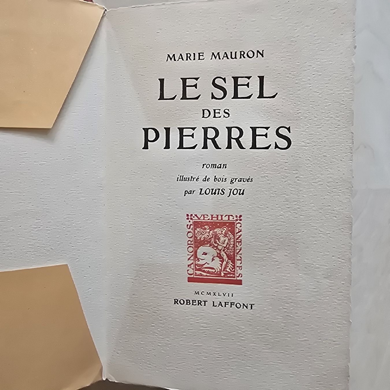 Bücher: livre le sel des pierres – Gebraucht aus Martigny von pivert03 1