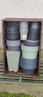 Diverse Pflanzentöpfe, Ziehtöpfe- Set für Gartenfreunde!
