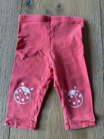Marienkafer Leggings von Tom Tailor Grösse 68