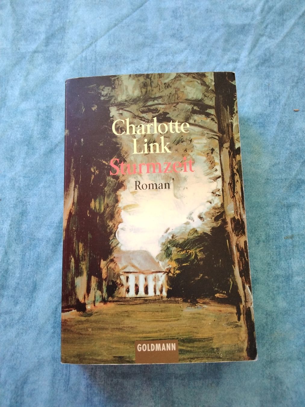 Libri: CHARLOTTE LINK STURM ZEIT – Usato da Biel/Bienne venduto da dasi3