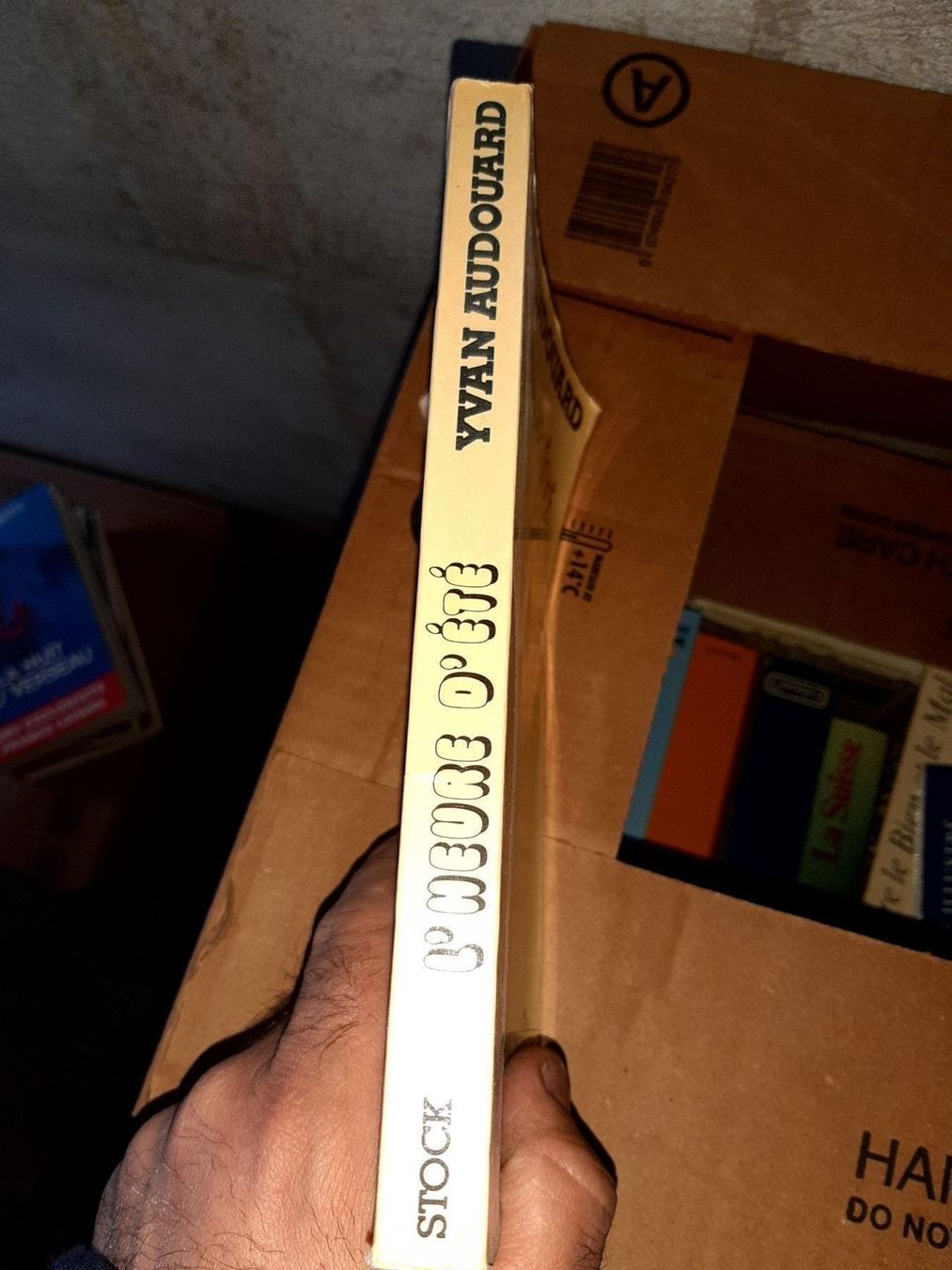 Libri: l'heure d'ete yvan audouard – Usato da Le locle venduto da juliensaran 1