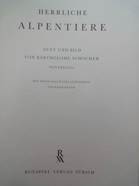 Libri: Herrliche Alpentiere – Usato da Chur venduto da omonia 1