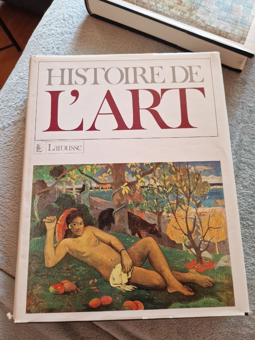Libri: Larousse Histoire de L'art 1 et 2  – Usato da Les Agettes venduto da Mazikeen 3