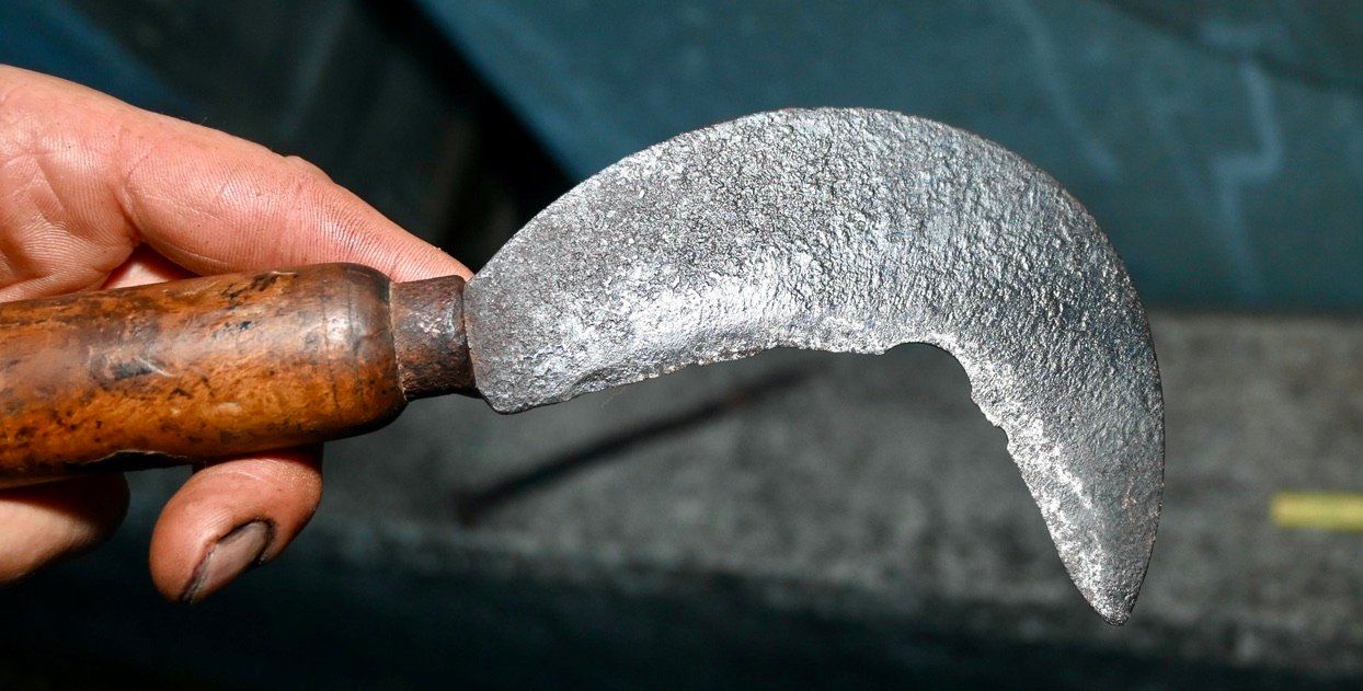 Tutti gli attrezzi: ANTIKE Handsichel Länge ca. 24cm – Usato da Pfaffhausen venduto da mono_rec 7