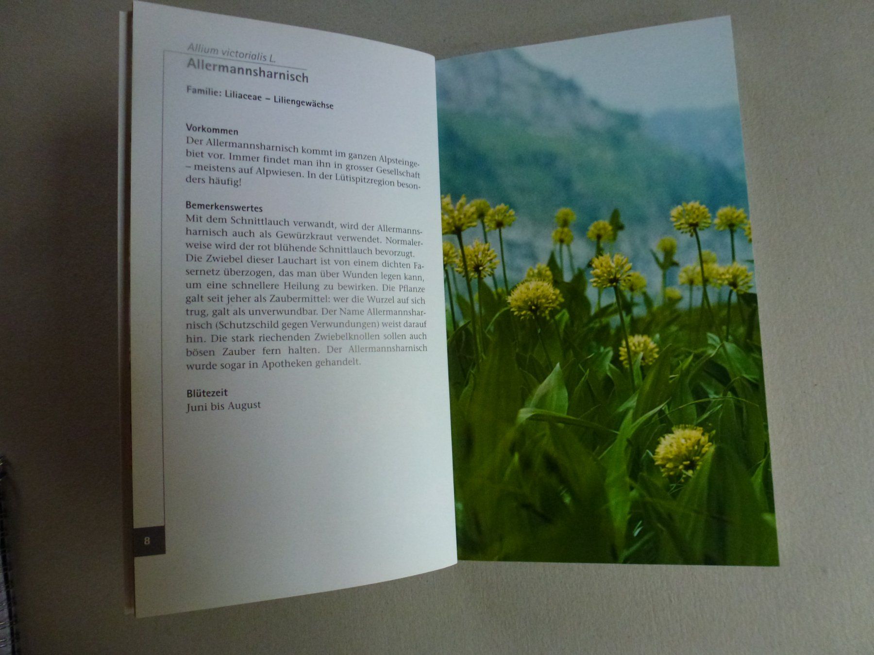 Libri: Blumen im Toggenburg - Hanspeter Steidle – Nuovo (secondo la descrizione) da Mühlrüti venduto da Dadadachs 3
