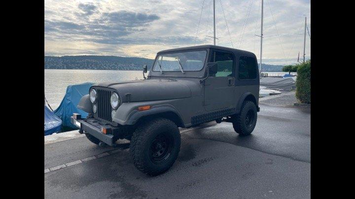 JEEP CJ-7 4.2L 6 Zylinder ab MFK