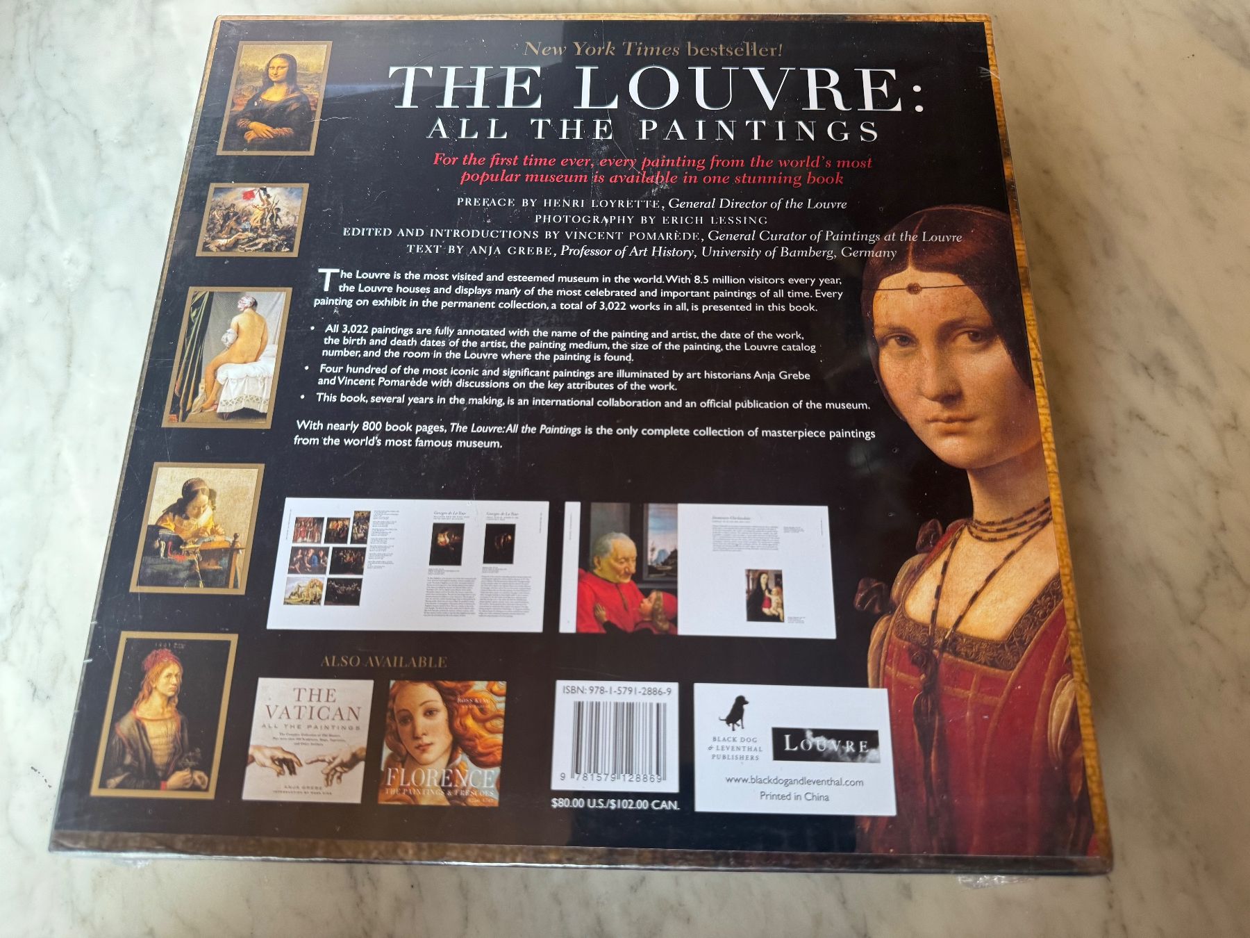 Libri: THE LOUVRE ALL THE PAINTINGS – Nuovo e nell'imballaggio originale da hägendorf venduto da twilightprincess 1
