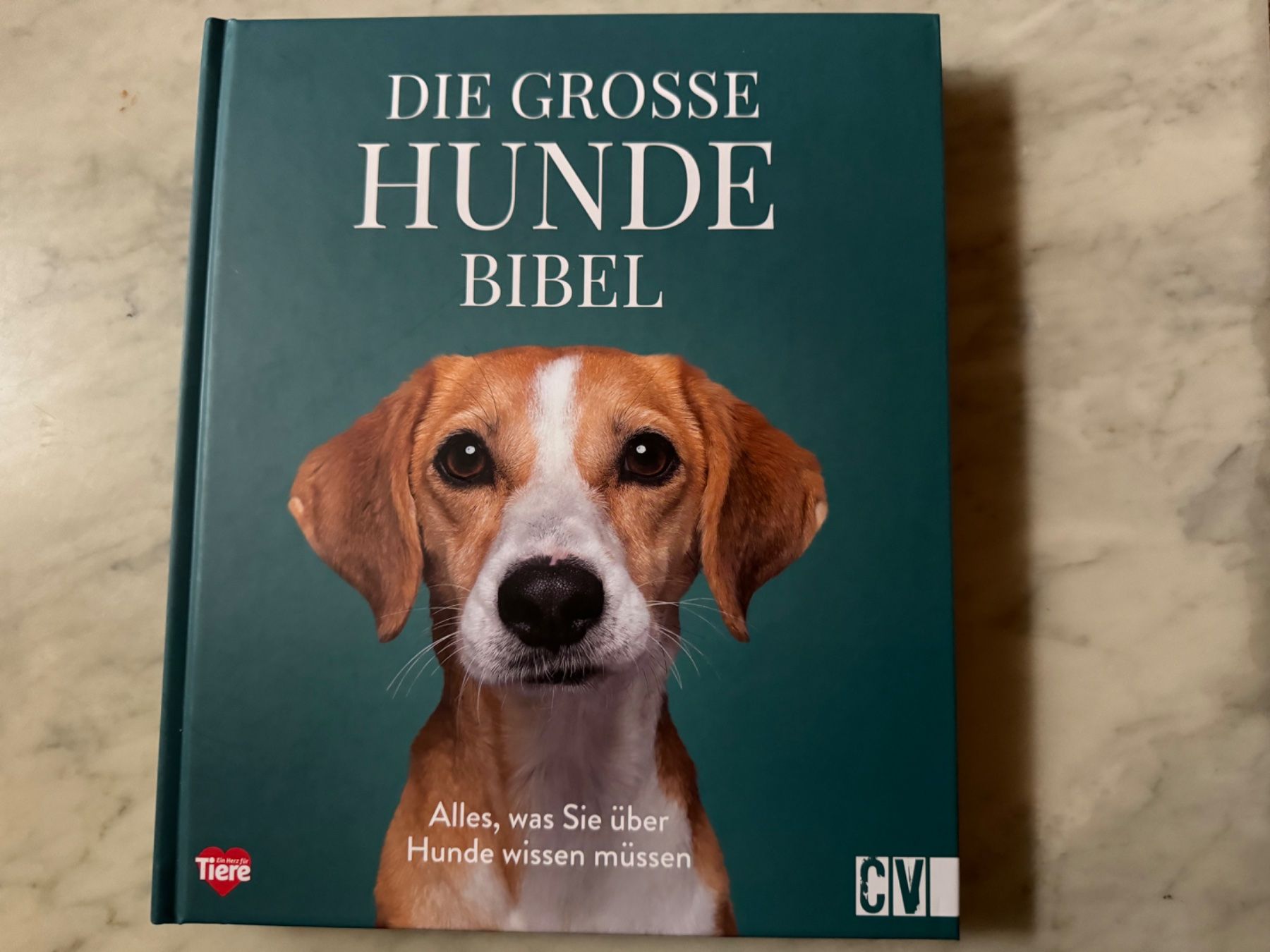 Bücher: DIE GROSSE HUNDE BIBEL – Neu (gemäss Beschreibung) aus hägendorf von twilightprincess