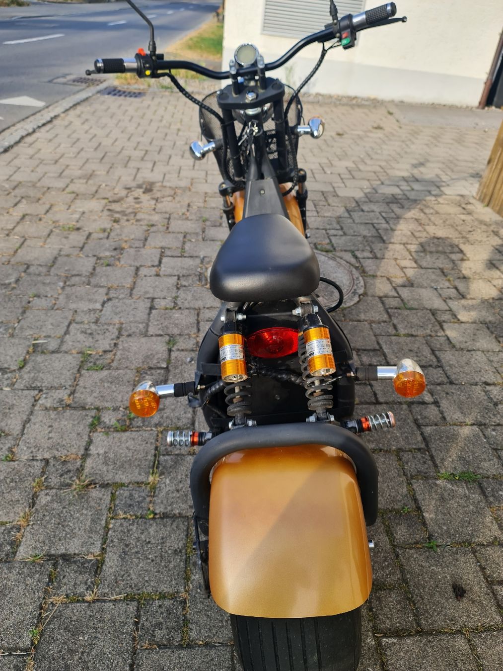 Citycoco Scooter: E-Roller (Citycoco) – Usato da Boswil venduto da baz_2gf7 1