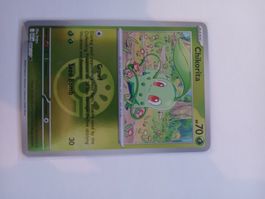 Chikorita #8  Reverse Holo Pokemon Ascended Heroes EN