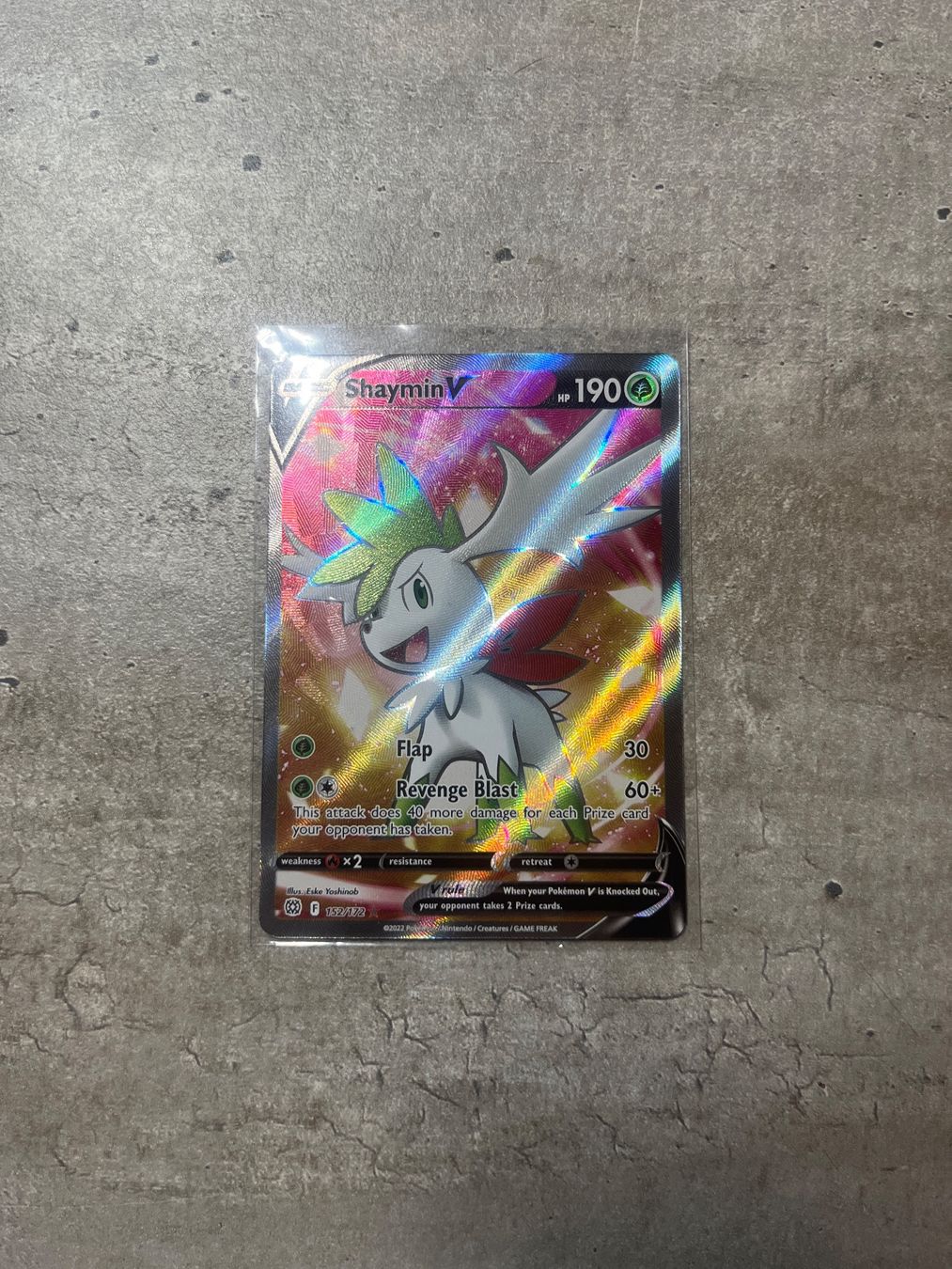 Pokémon Carte collezionabili: Shaymin V 152/172 – Nuovo (secondo la descrizione) da Gandria venduto da PokeBrothersCH