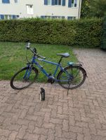 Canyon Pearl, 51 cm, Diamantrahmen, Jahrgang 2018
