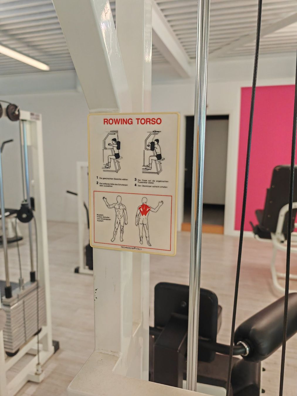 Technogym Hometrainer: Technogym Rowing Torso – Usato da Bern venduto da Sudowudo 1