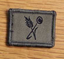 Truppenkoch Funktionsabzeichen Klett Armee XXI