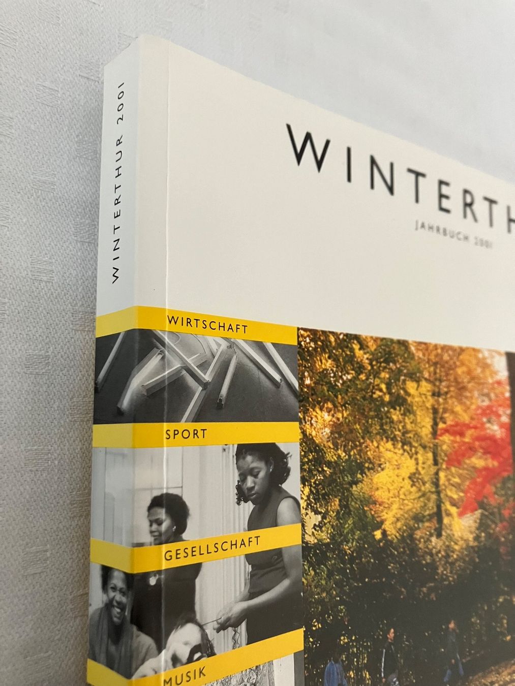 Libri: Jahrbuch Winterthur 2001 – Usato da winterthur venduto da Grami1 1