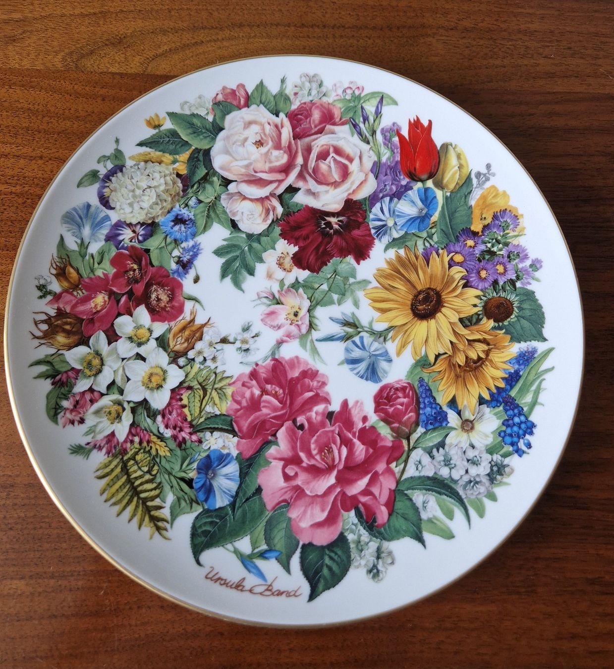 Hutschenreuther Teller: Sammelteller/Wandteller Hutschenreuter – Neu (gemäss Beschreibung) aus Bern von Antikbatik