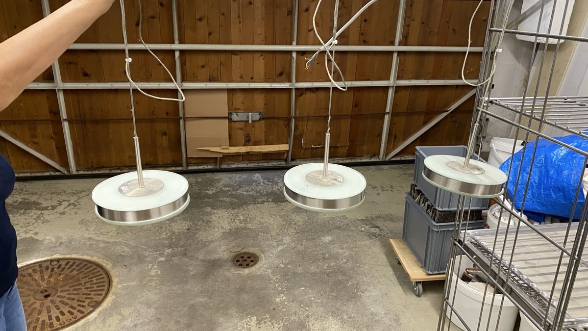 Lustres & lampes de plafonds: Design Halogen Deckenleuchte – D'occasion à Ottenbach par Eggi153 2