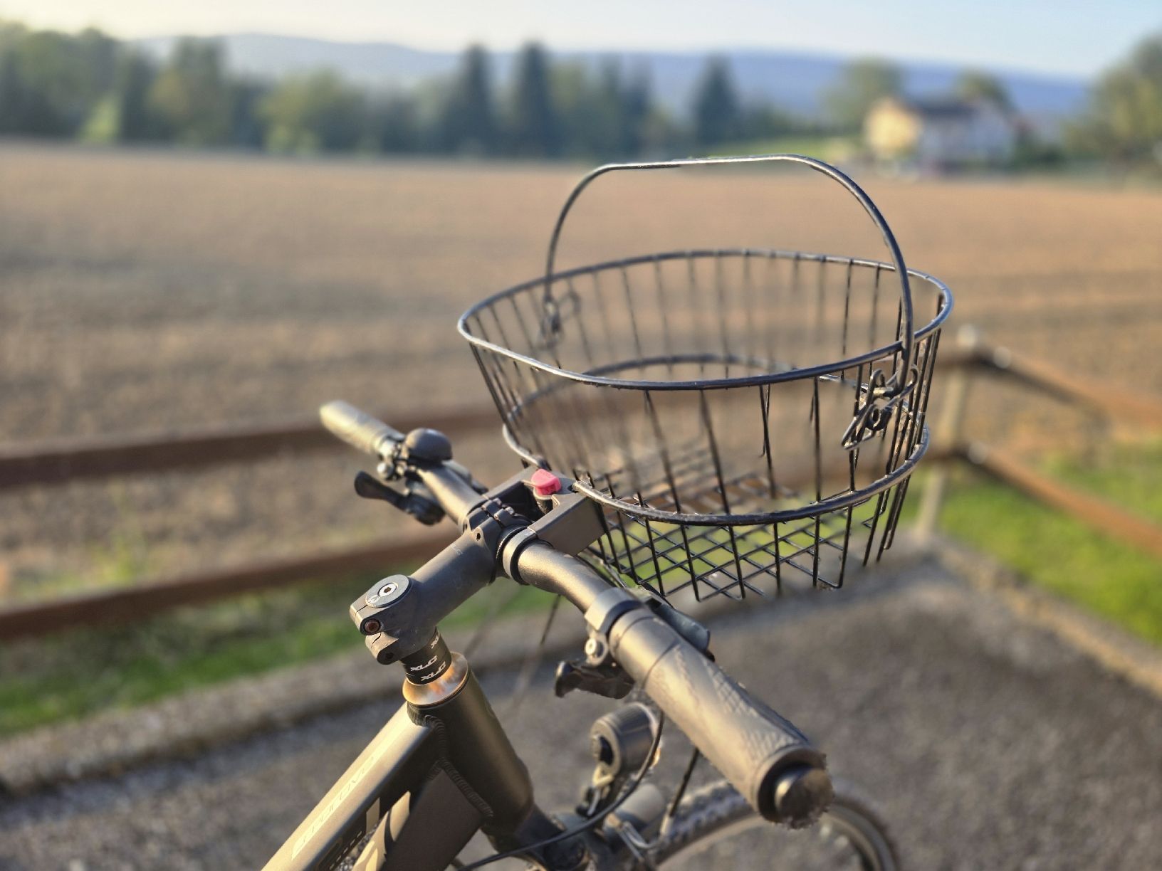 Winora Biciclette: Winora Damenrad – Usato da Wahlen b. Laufen venduto da C.Norris 3