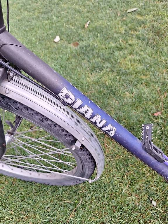 Biciclette: Diana mountain-citybike – Usato da Winterthur venduto da bis_6s2h 1