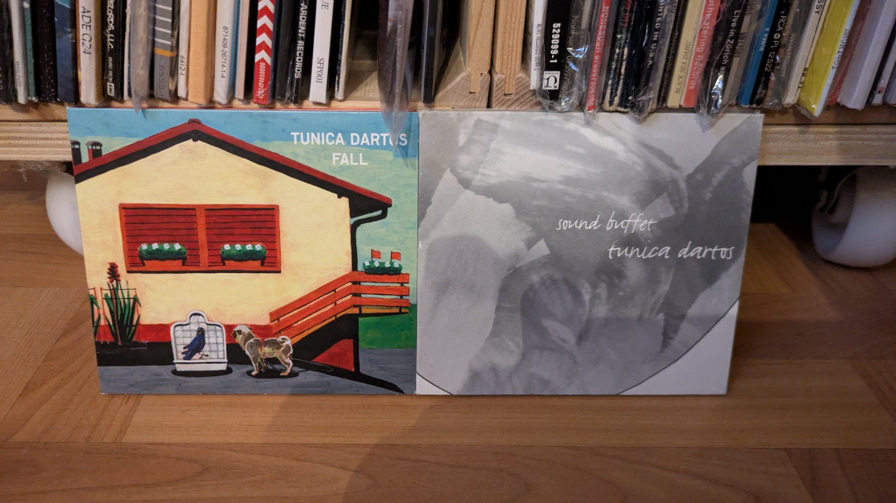 CD: Tunica Dartos 2 CD's – Usato da Steinen venduto da beatstick