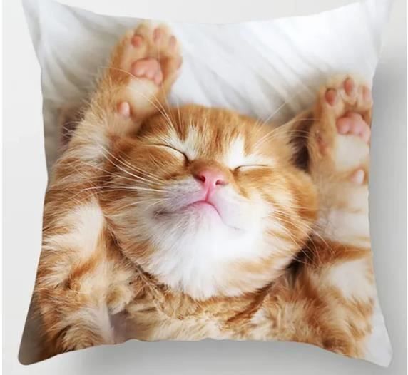 Cuscini: Kissenbezug Katze 45x45 cm – Nuovo e nell'imballaggio originale da Dintikon venduto da Vexi