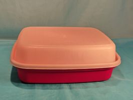 Tupperware Behälter zum Fleisch marinieren, weiss-pink