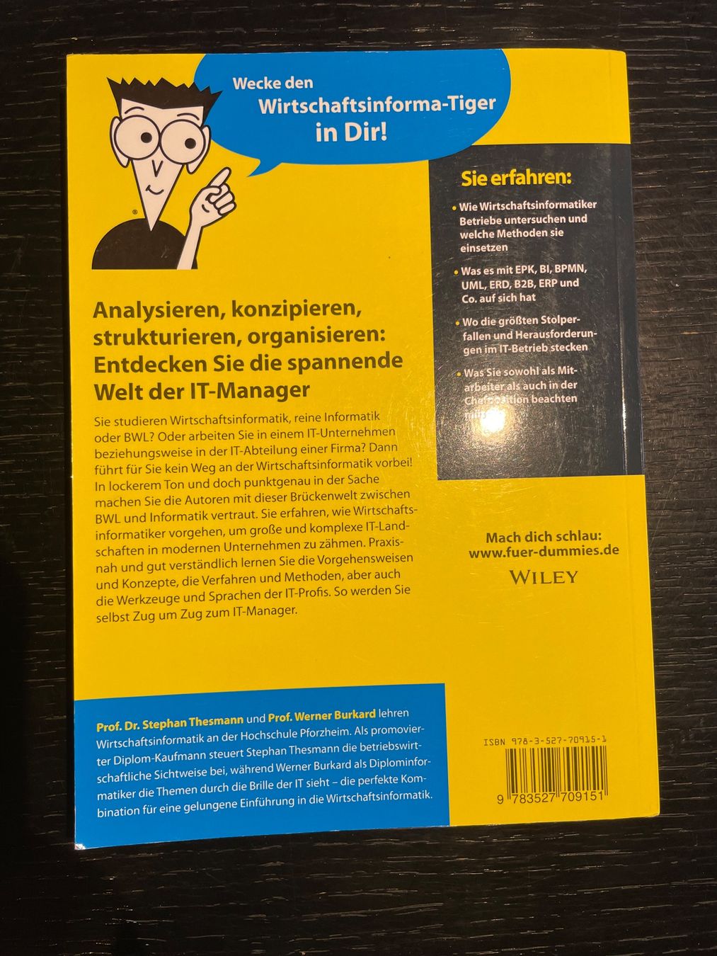 Libri: Buch Wirtschaftsinformatik für Dummies – Usato da Aeschlen ob Gunten venduto da Floh028 1