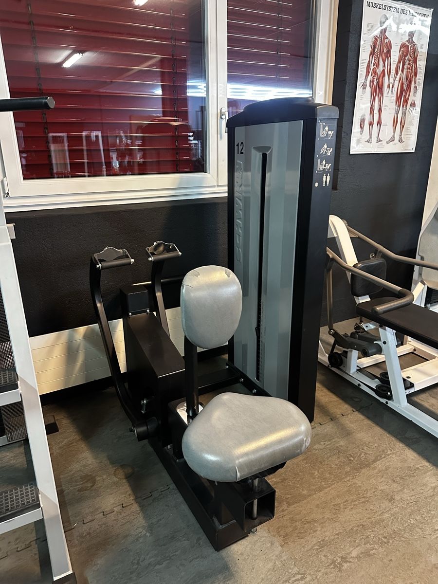 Schwinn Hometrainer: Ruderzug Schwinn – Usato da Siebnen venduto da mAs3u5_