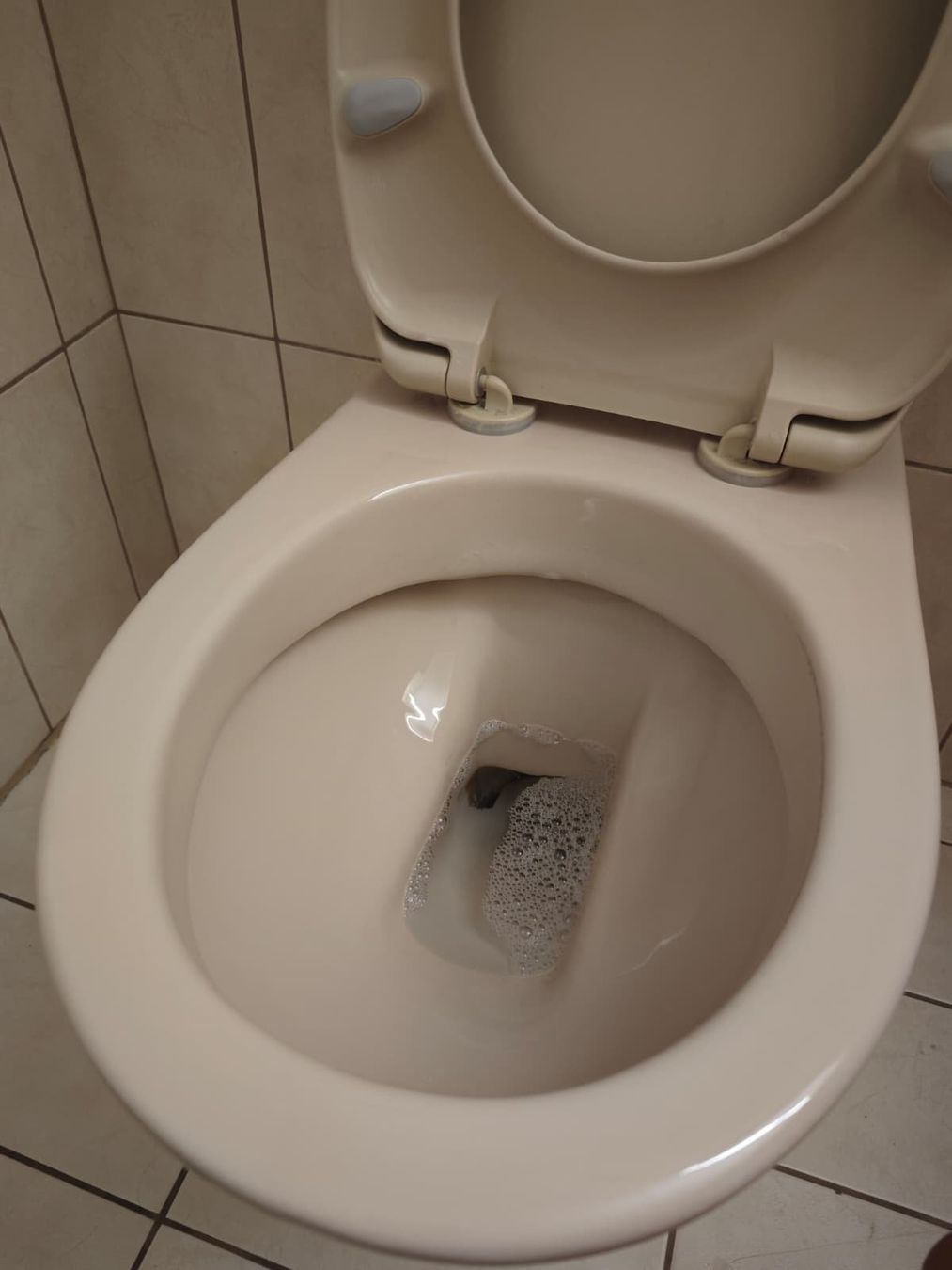 WC: Klo – Usato da Rorschacherberg venduto da Zwergli4 1