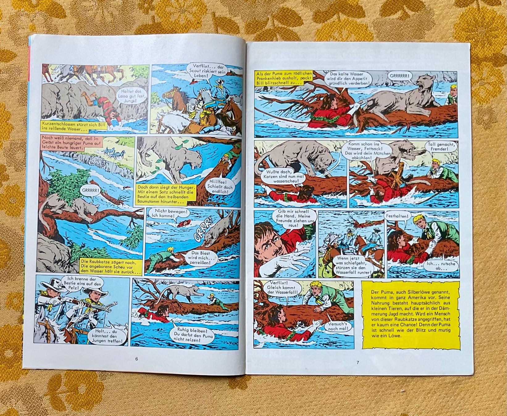 Fumetti: Buffalo Bill Heft Nr 599 von 1981 ? – Usato da Endingen venduto da nathan05 2