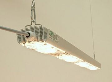 Sanlight Lampen: Grow Led Sanlight 15 Stück vorhanden – Gebraucht aus Basel von Frenchie-Bulldog
