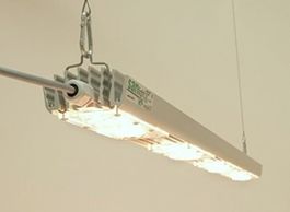 Grow Led Sanlight 13 Stück vorhanden