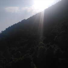 Profile image of shinifin