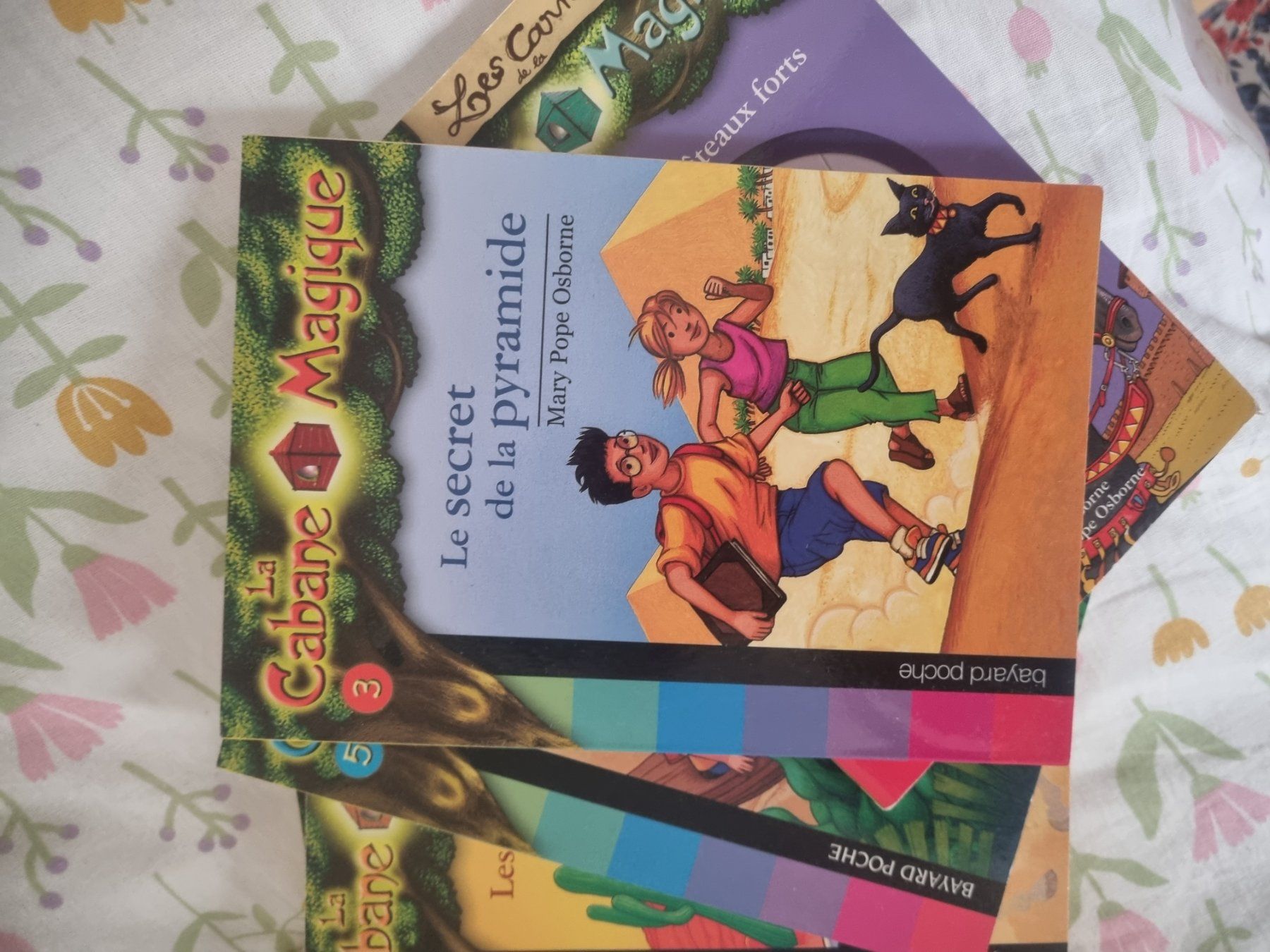 Libri: livres La cabane magique – Usato da Rennaz venduto da mar_9c85
