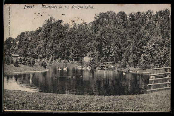 Cartes postales: AK Basel, Thierpark in den Langen Erlen – D'occasion à Berlin par bartko-reher