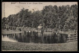 AK Basel, Thierpark in den Langen Erlen