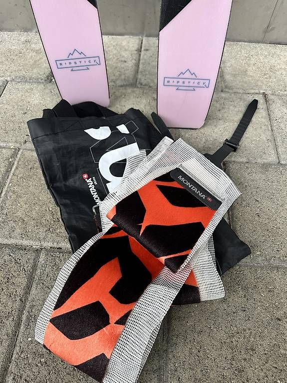 Skis: Elan Ripstick 88 Tourenski 170cm – Gebraucht aus Adligenswil von Sharoon 4