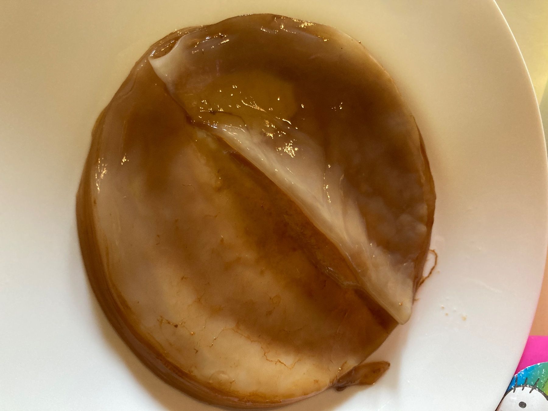 Aliments & Spécialités: Kombucha – D'occasion à Chancy par dia_tb2t