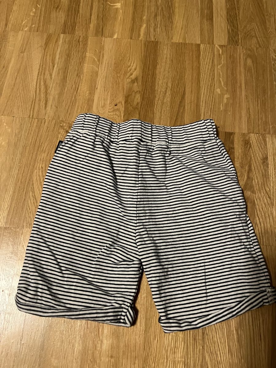 Pantaloni: Staccato Cotton Shorts, Size 80 – Nuovo (secondo la descrizione) da Zollikerberg venduto da LLV 1