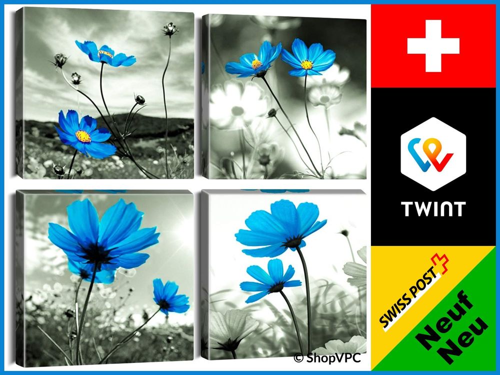 HesenDot Matisse Wandbilder Set 3-teilig - Abstrakte Leinwanddrucke 30x40cm Rosa