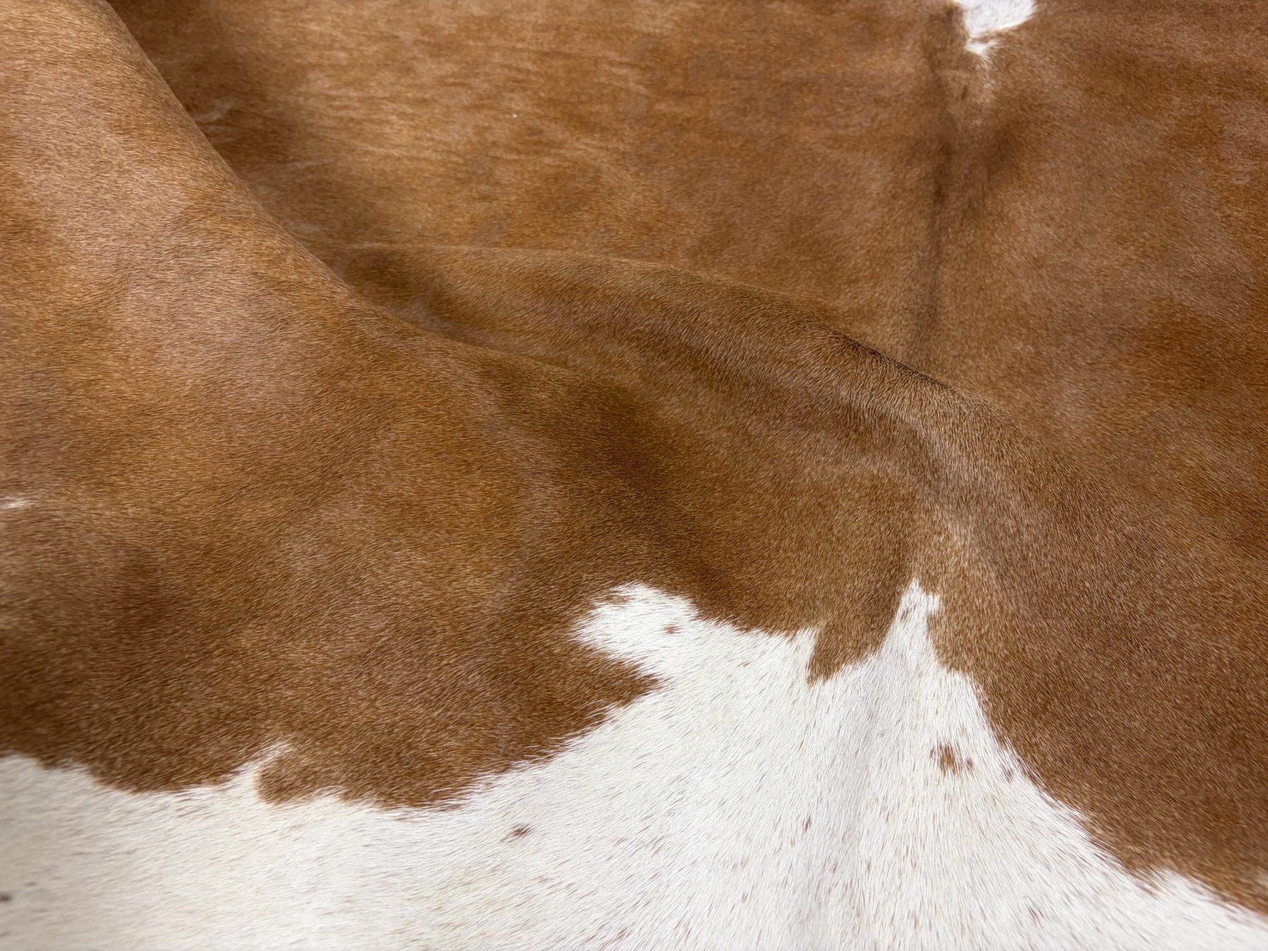 Tappeti: echtes Kuhfell Teppich – Nuovo e nell'imballaggio originale da Arbedo venduto da patagonialeatherrugs 2