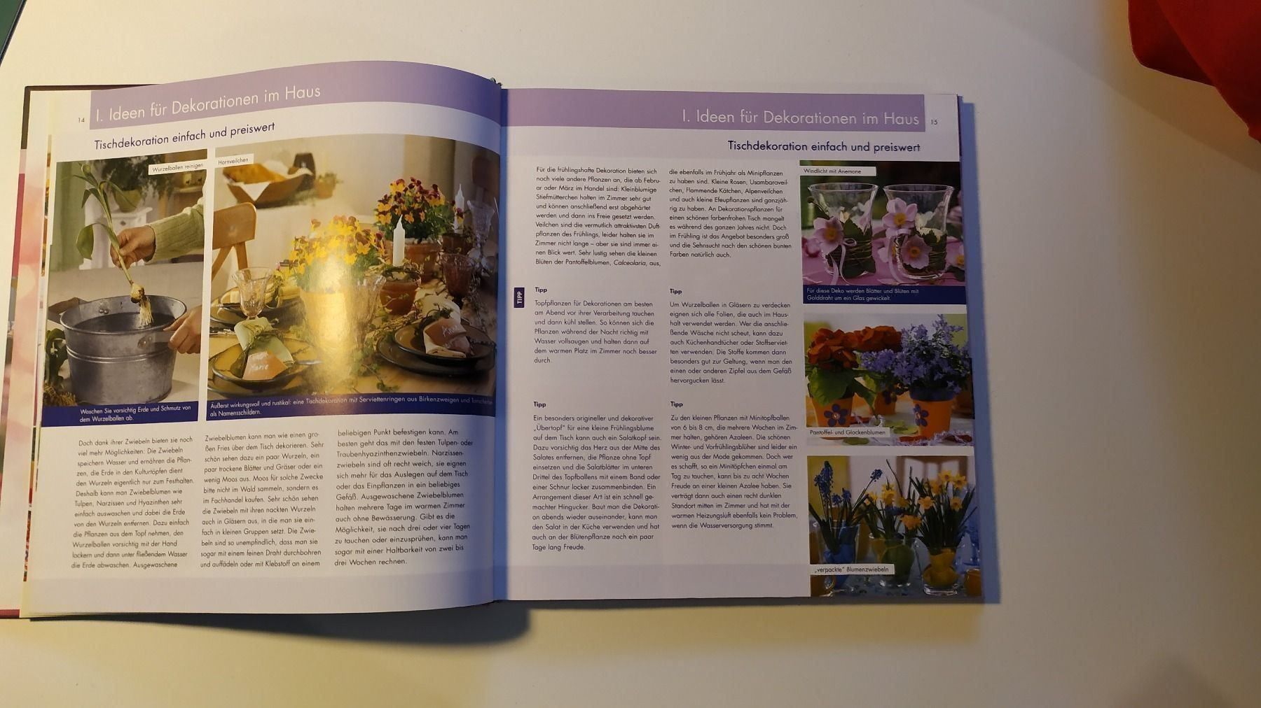 Libri: Dekorieren mit Blumen – Nuovo (secondo la descrizione) da Adlikon b. Andelfingen venduto da IlonaSp 4