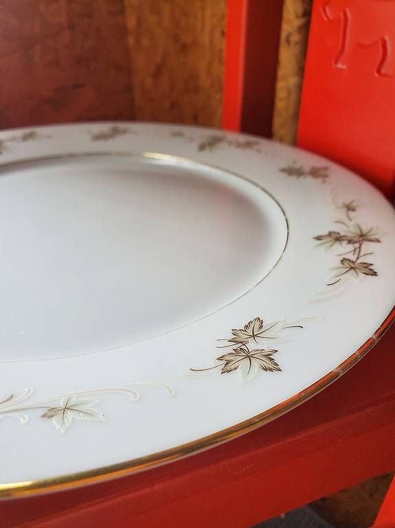 Assiettes: 9 grosse Teller – D'occasion à Lanzenhäusern par ste_tvc7 1