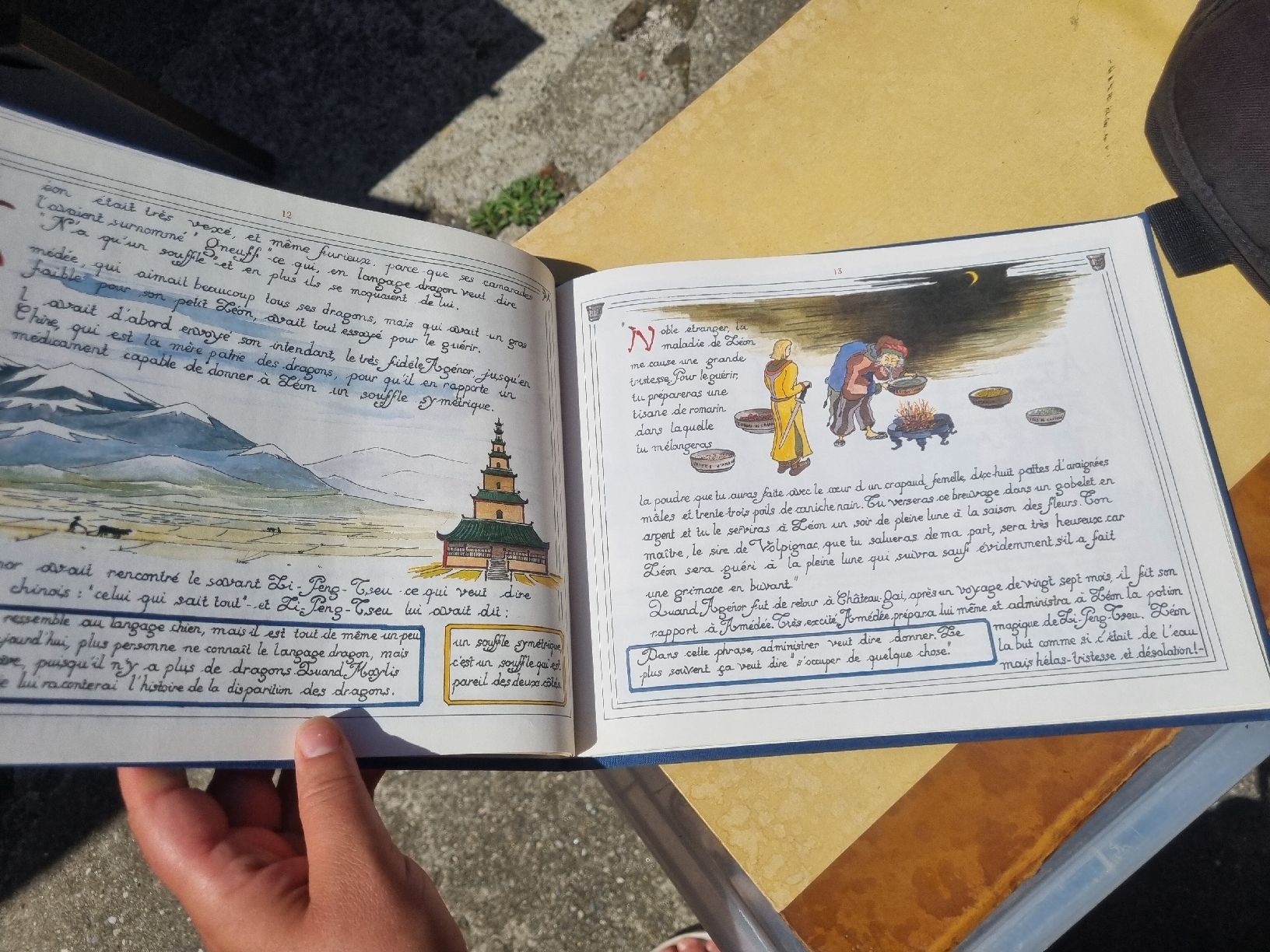 Libri: Livre Leon le Dragon "Les Contes de Daddy"  – Usato da Fribourg venduto da sal_5ln6 8