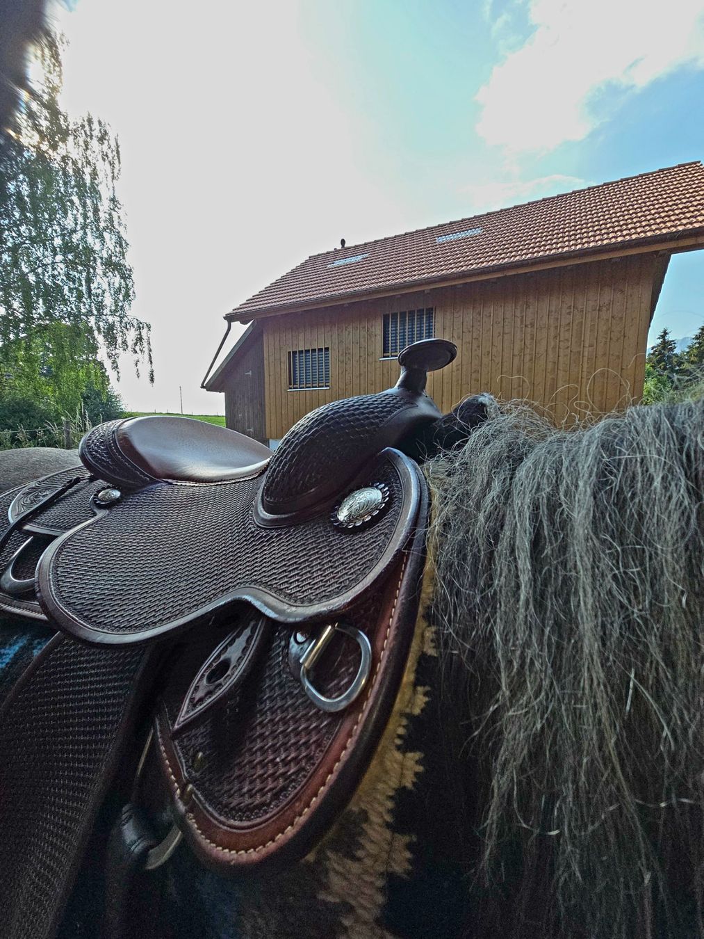 Selles, accessoires: JW Custom Westernsattel – D'occasion à Uetendorf par Sherryco 3