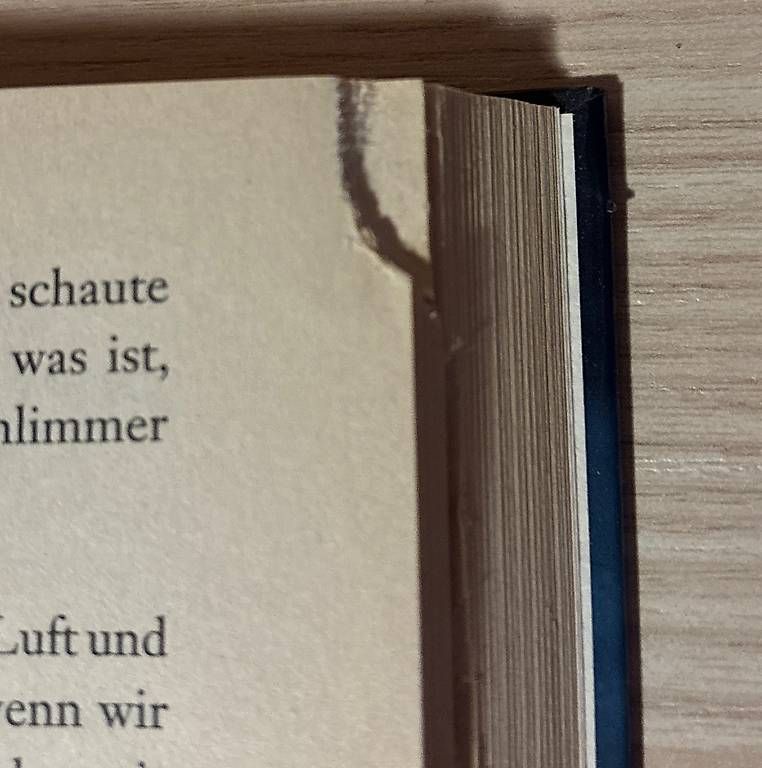 Libri: Tagebuch eines Vampirs Bücherpaket – Usato da Wilen b. Wil venduto da liv_8 2