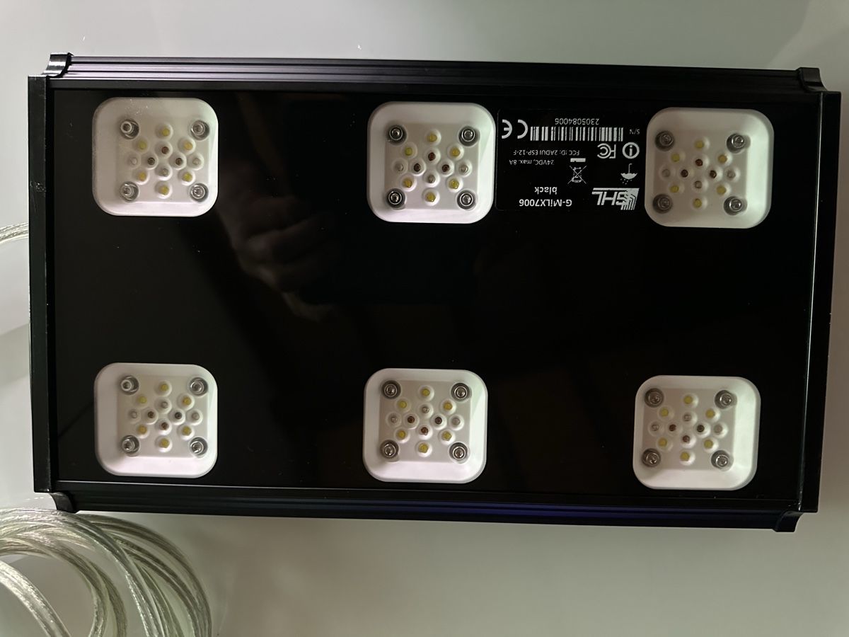 Acquari: GHL LED Mitras LX7 – Usato da Berikon venduto da fischundart 2