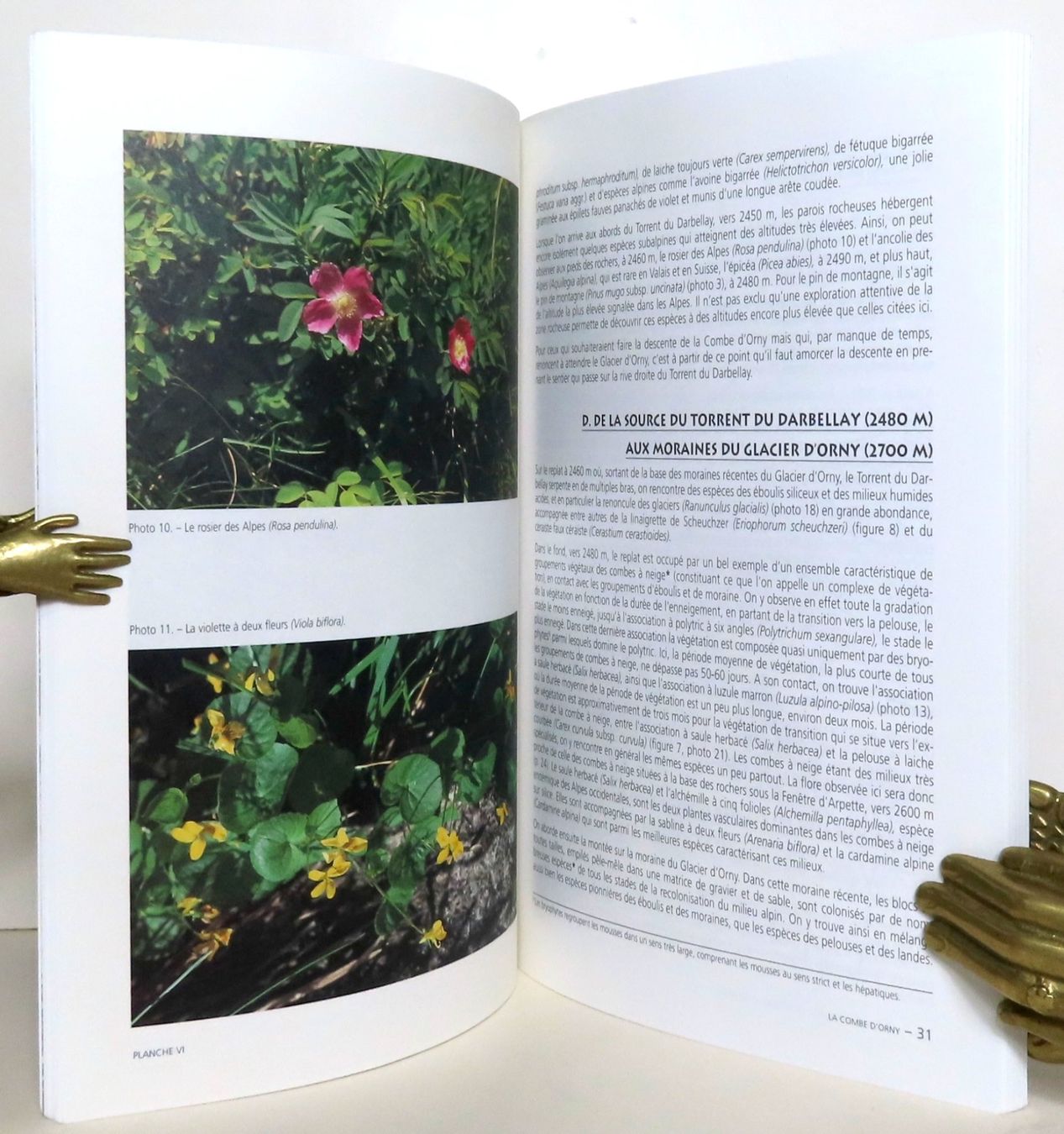 Libri: Champex et environs. Promenades botaniques – Usato da Le Locle venduto da LibrairieLaBergerie 1
