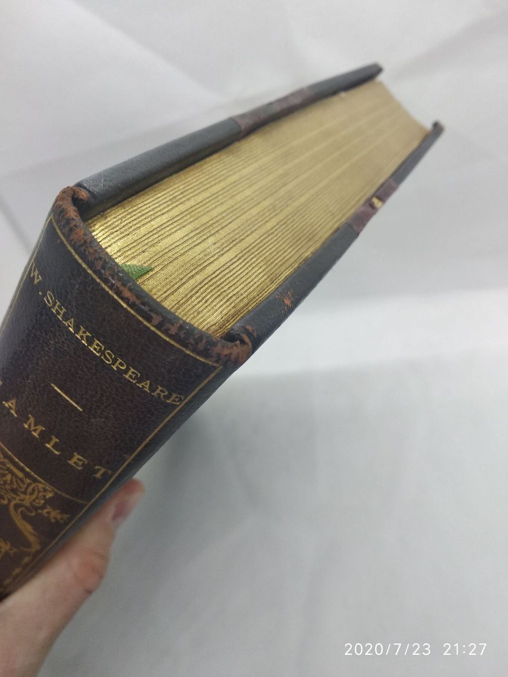 Piante & sementi: WILLIAM SHAKESPEARE – Usato da Goldach venduto da Gaip 6