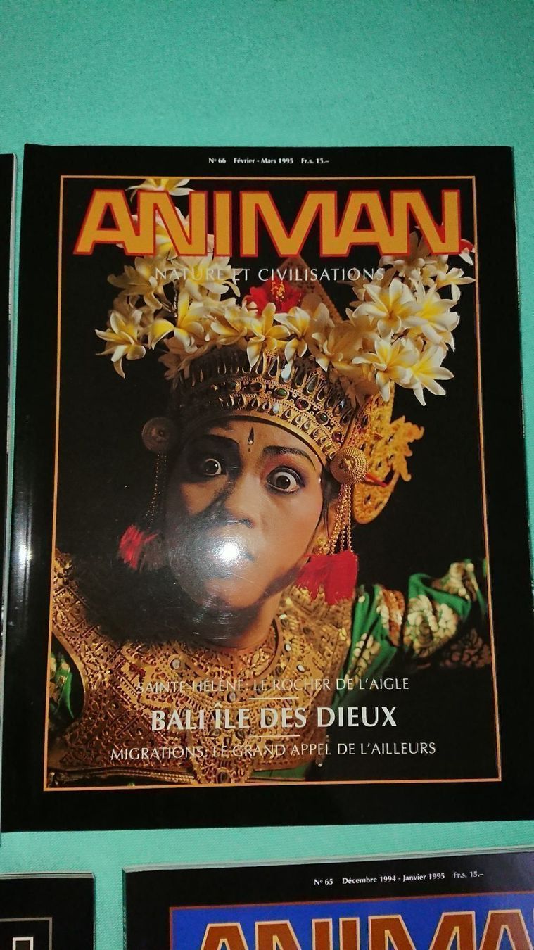 Riviste & Magazine: Animan / lot – Usato da Cortaillod venduto da signep 6